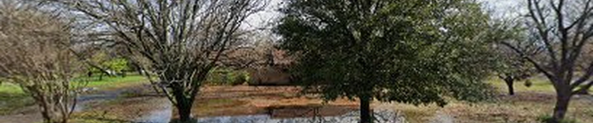 Sachse Landscaping Solutions