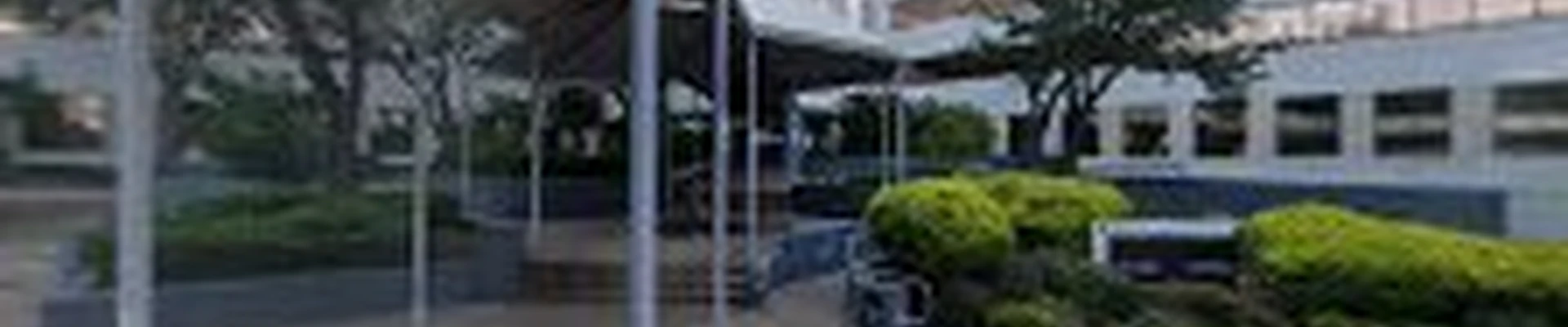 DALLAS LAND CARE