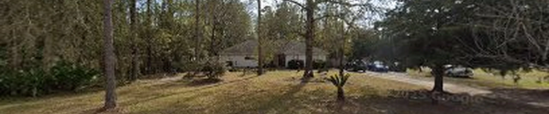 Florida Lawns and Landscape