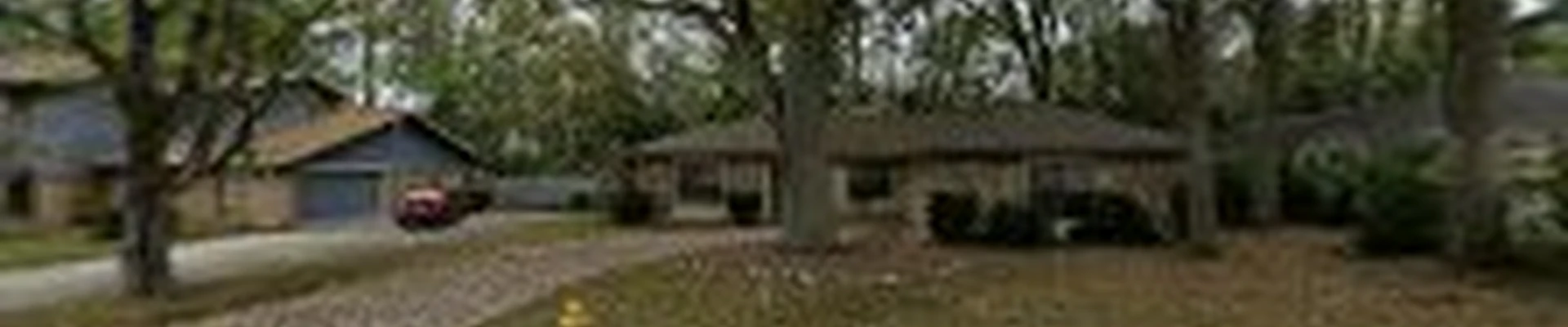 Jungle Life Landscape LLC