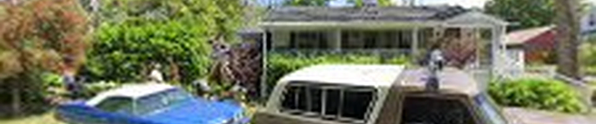 Jon the Gardener Landscape Design
