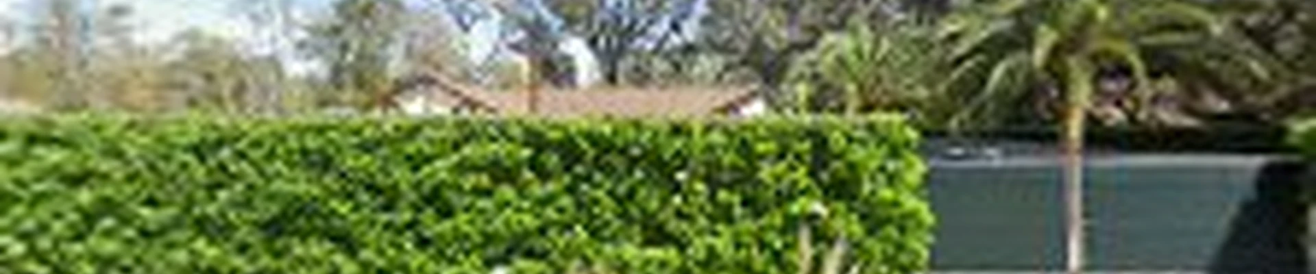 Antones Lawn Maintenance, Inc.
