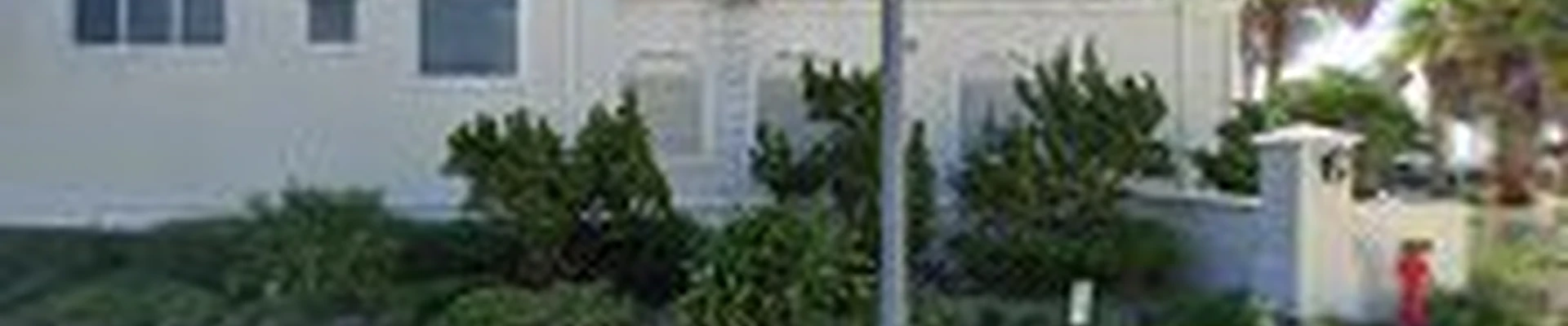 Best Tree and Landscaping Service, LLC