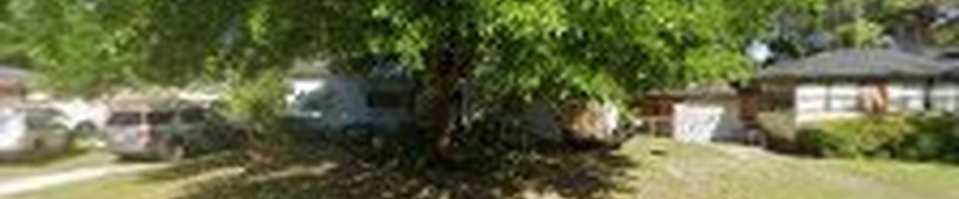 Landscapes Jacksonville LLC