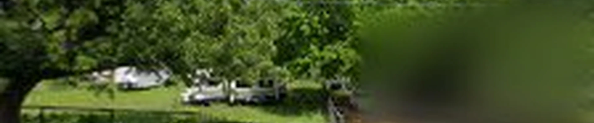 Local Lawn Care