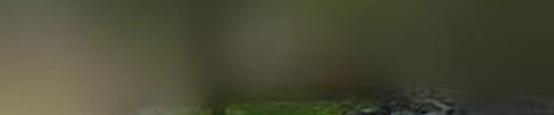 RSG Lawn & Landscape
