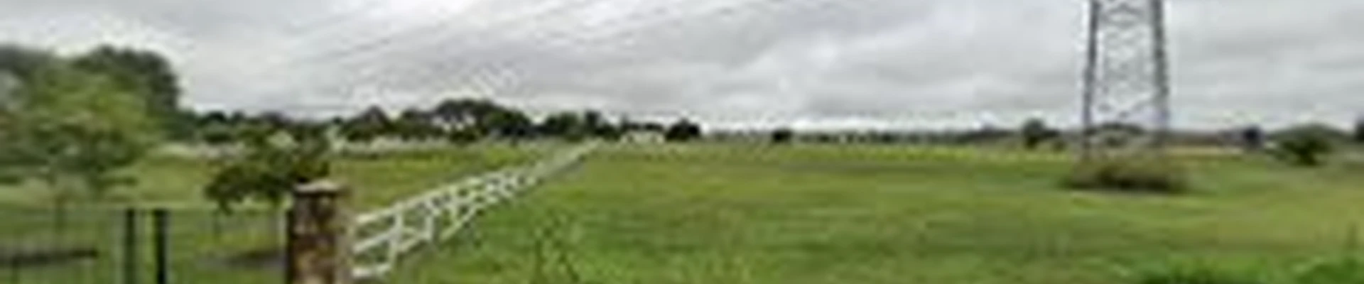 Price Right Professional Landscaping & Tree Service