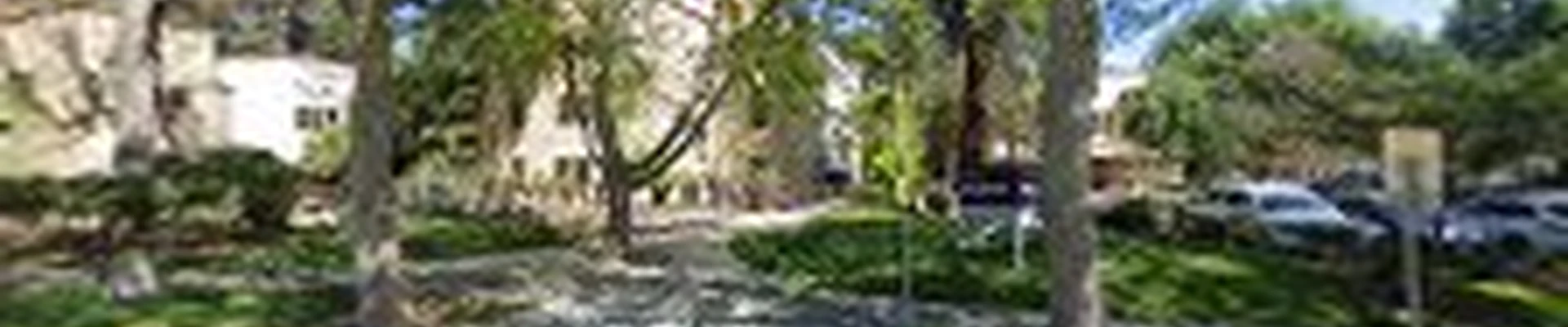 Landscaping San Jose