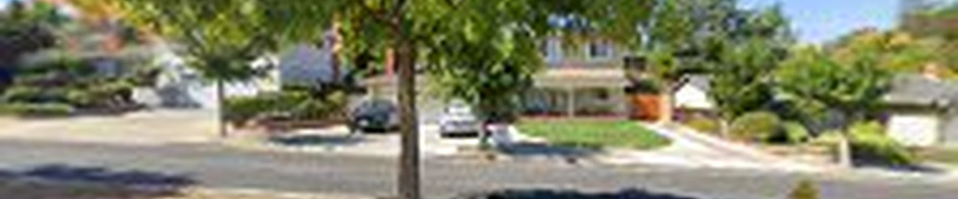 S & G HOME ORCHARD CARE & LANDSCAPE