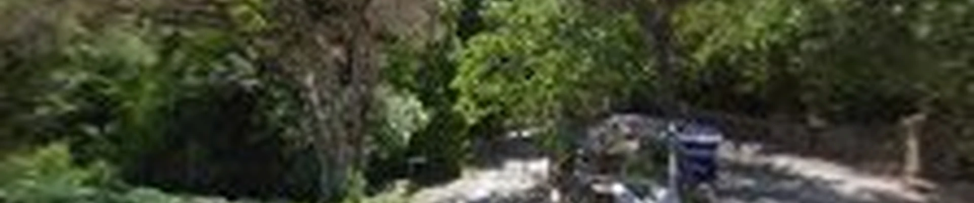 Vistascape Gardening