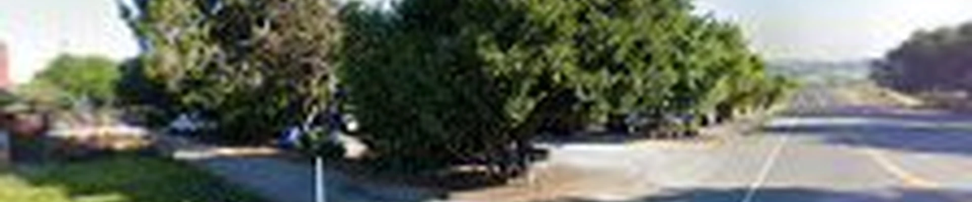 Tierra Buena Landscape Co.
