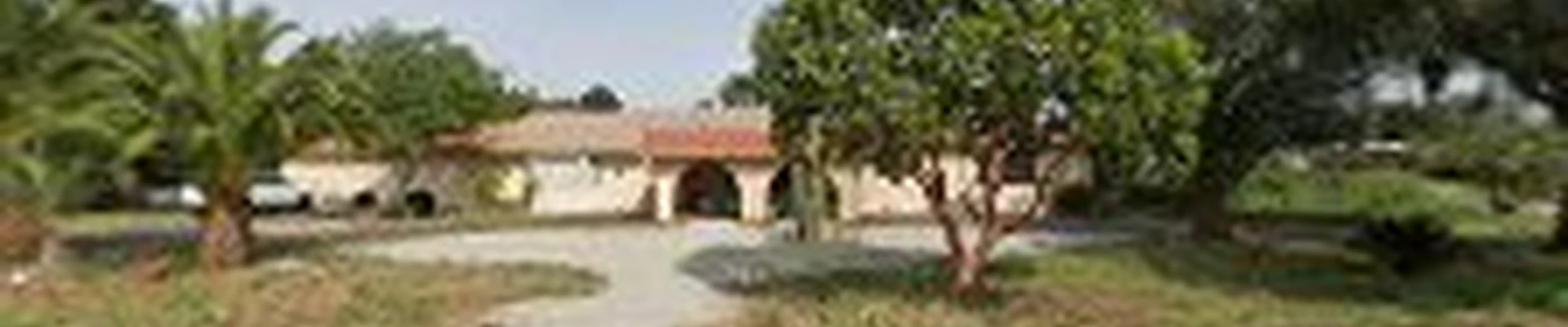 San Jose Tree Service & Landscaping