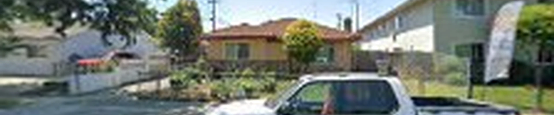 Ernesto garden