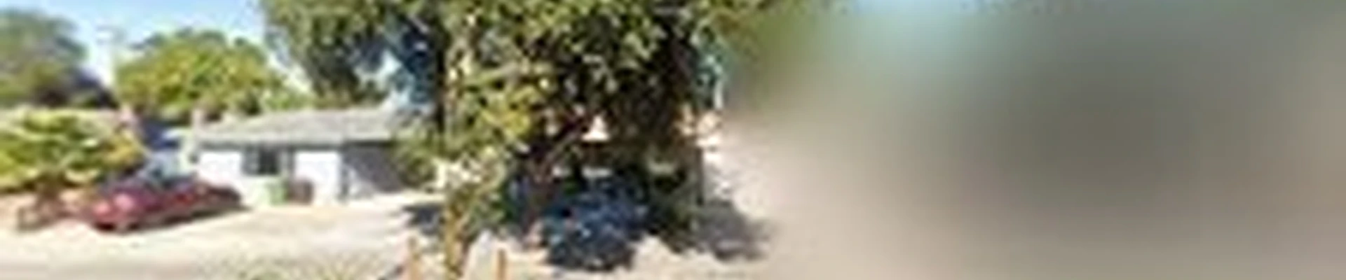 Fernando's Gardening