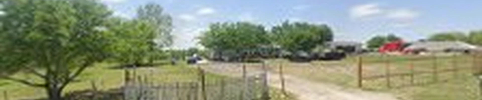 Ray & Sons landscaping