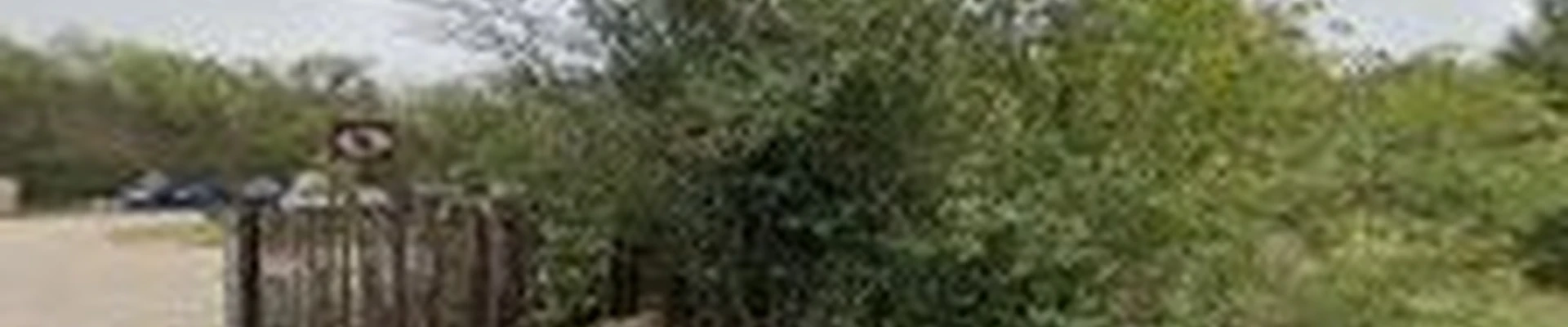 Longhorn Lawns