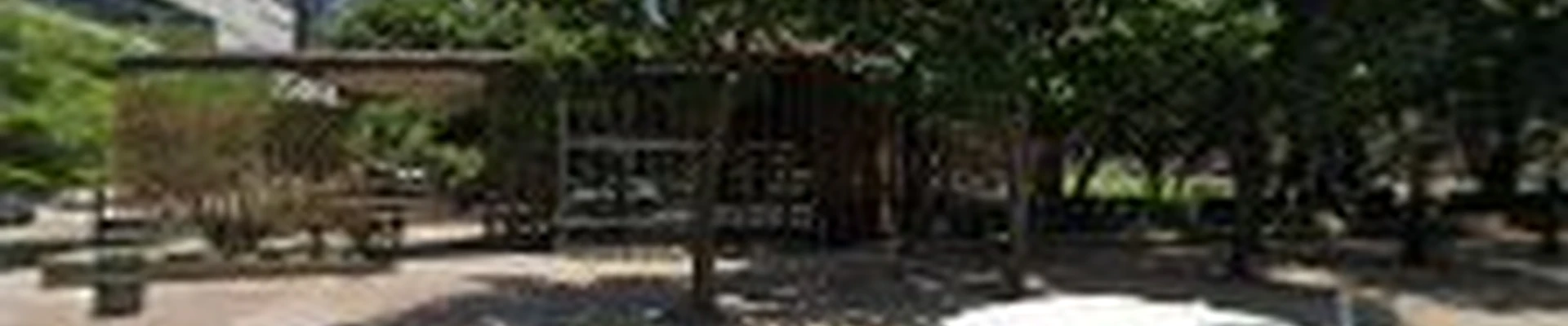 Southern Love Landscaping & Design