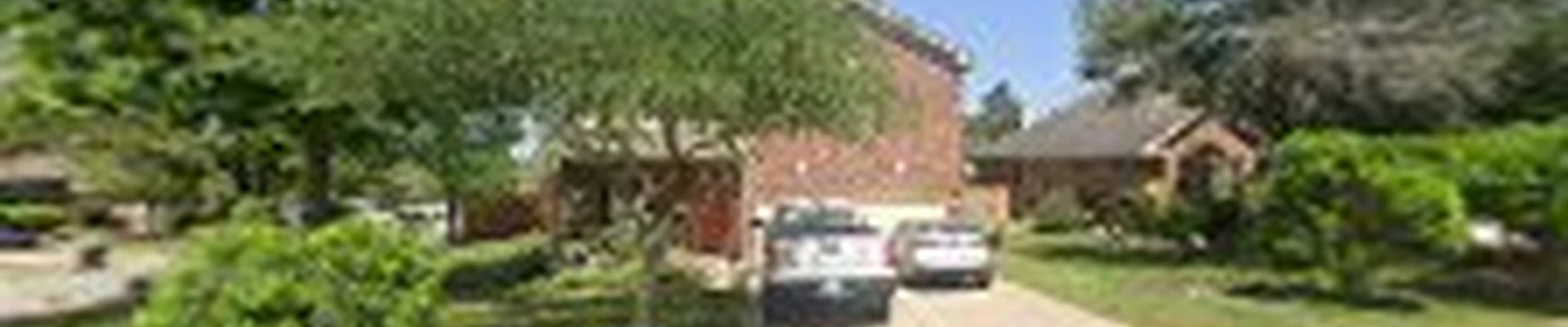 The Green Dude Organic Lawn Care LLC