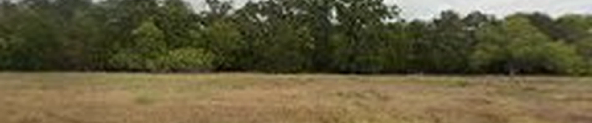 Noble Lawn and Landscaping