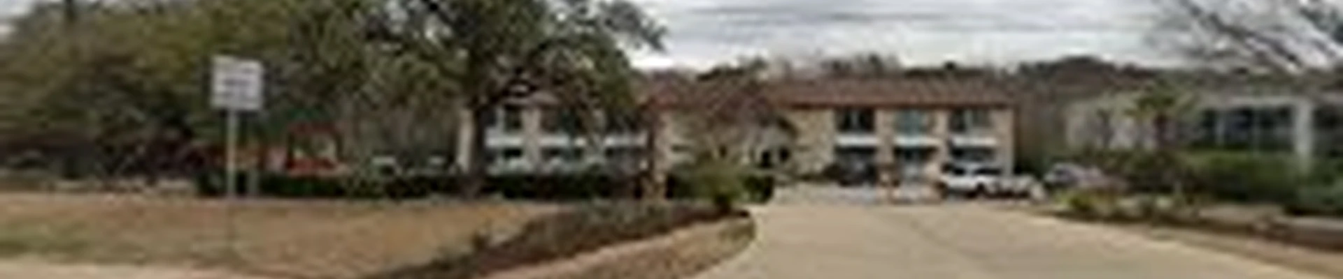 Agave LD of Rollingwood