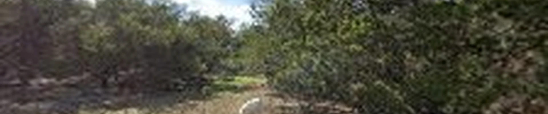 Alex's landscape and service