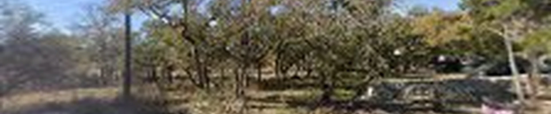 Century Outdoor Services