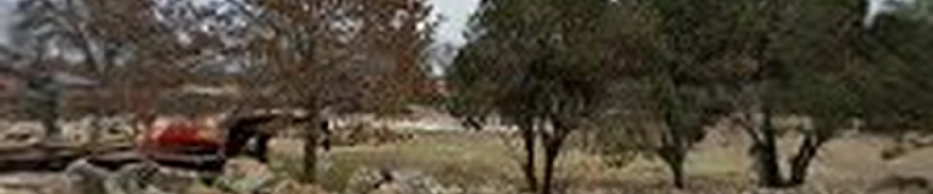 Sunset Valley Landscape & Tree Service