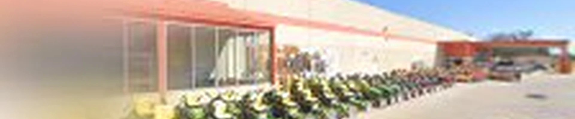 Garden Center at The Home Depot