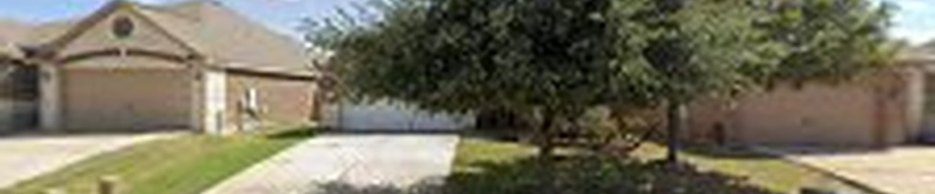 Gladiator Tree Experts & Landscaping
