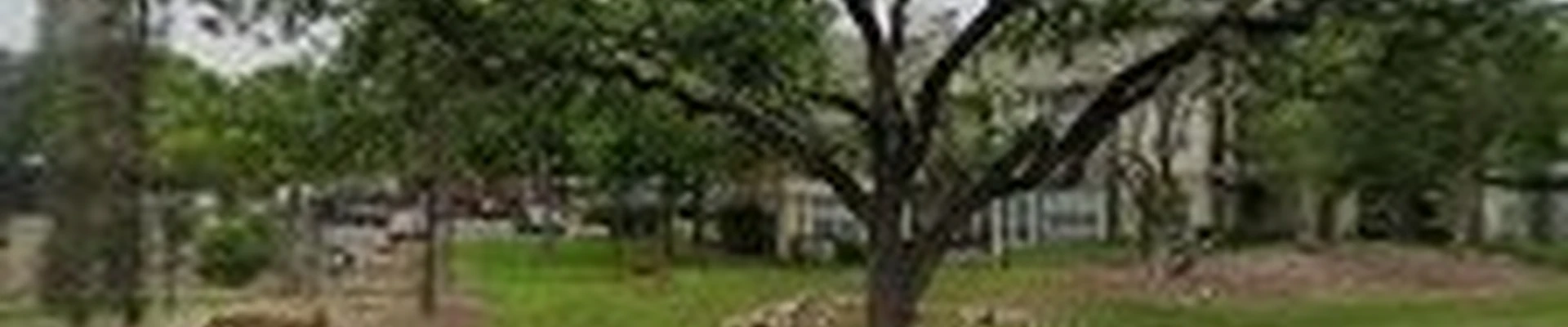 Landscape & Irrigation Masters