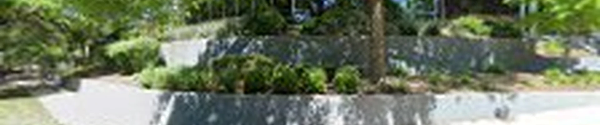 Beaver Tree Care