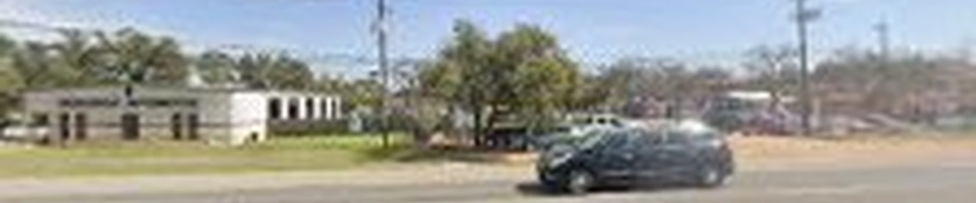 Green Planet Scapes of Austin
