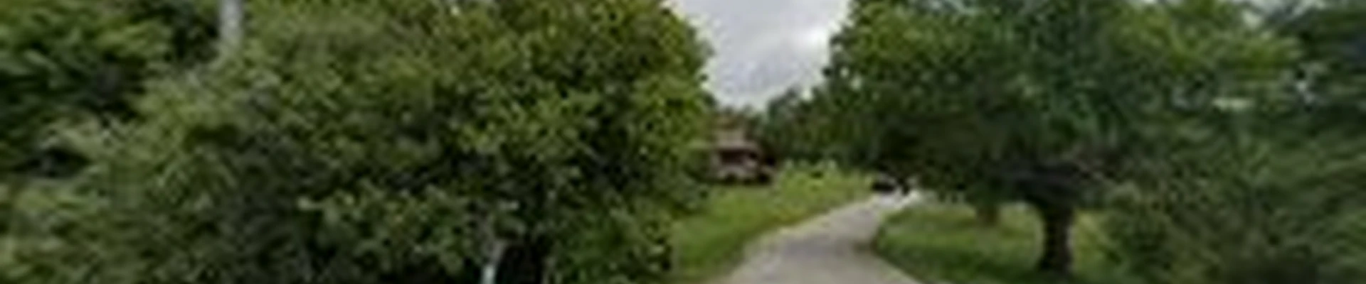 lush landscaping