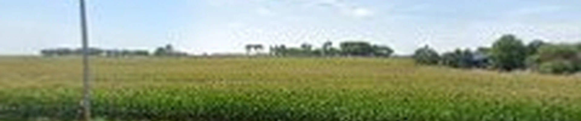 Auman Landscape LLC