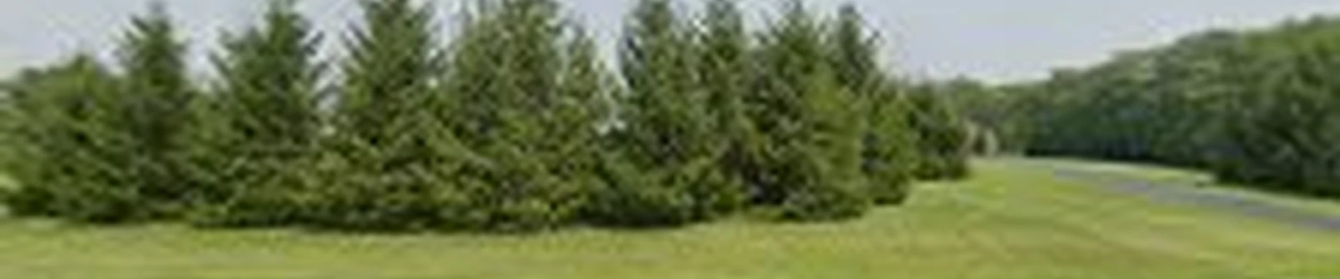 Daniels Landscaping LLC
