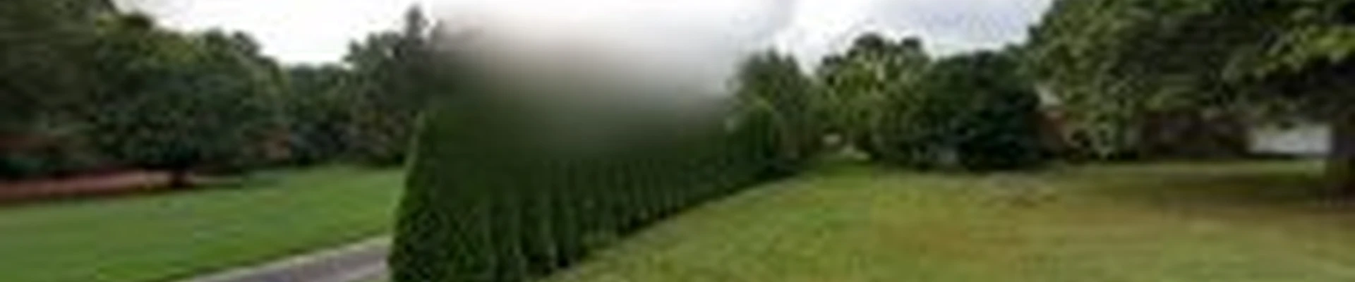 Southeast Lawn & Landscape LLC