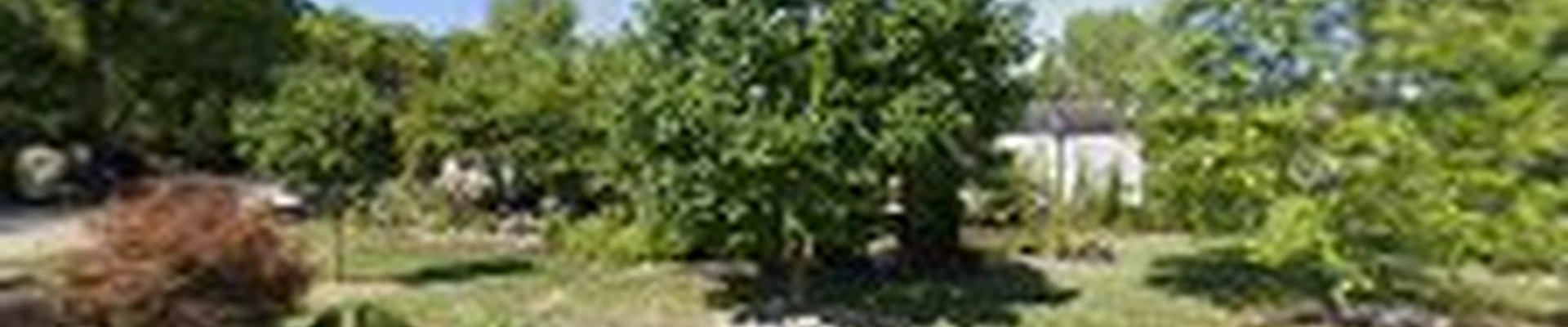 Turtle's Mulching & Landscaping Serviwe