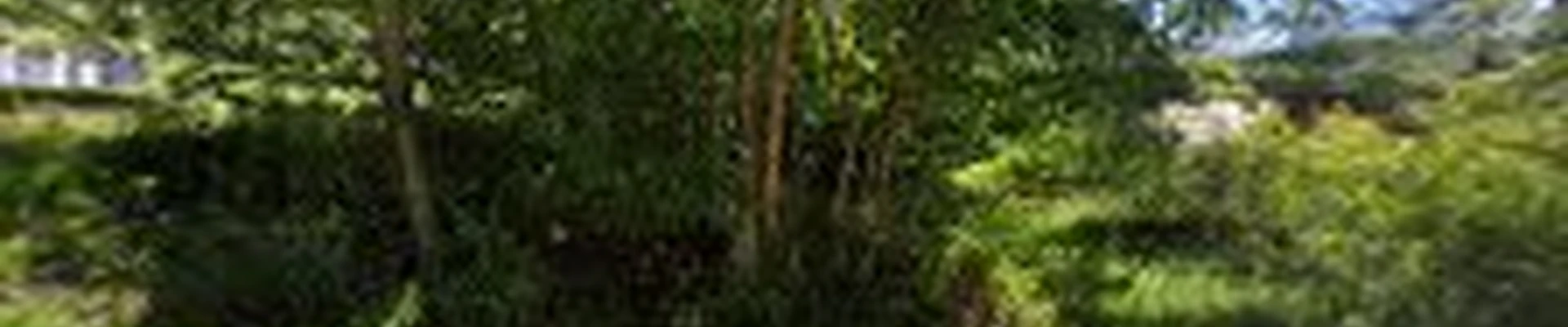 Route 33 Landscape Management