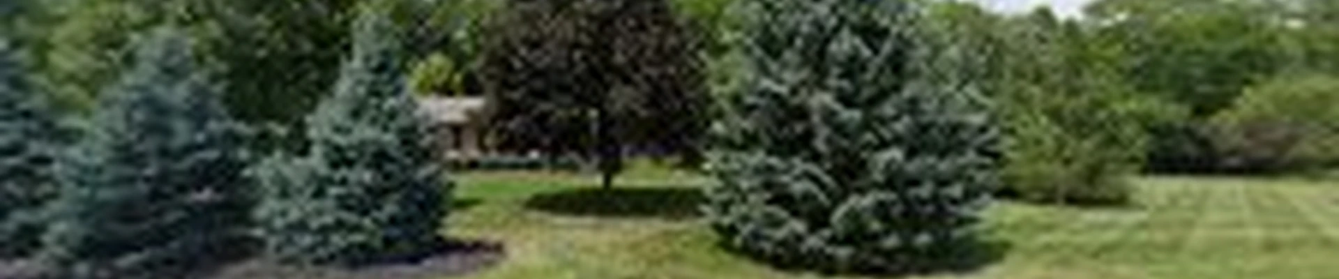 Galena Lawn Care, LLC