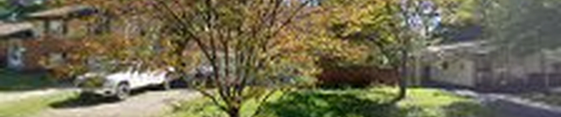 Morales Landscape LLC