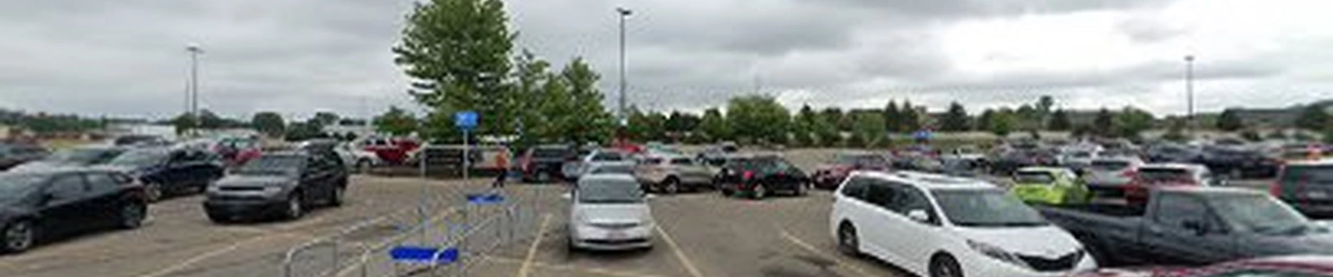Walmart Garden Center
