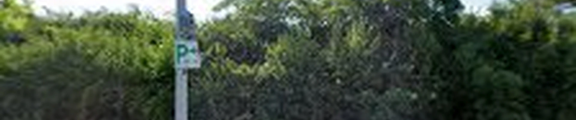Nataya's Garden Landscaping