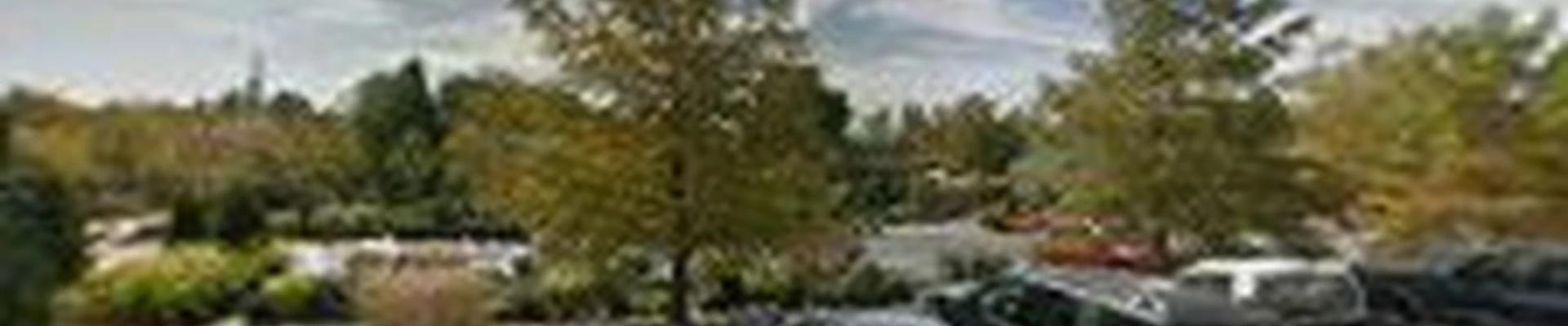 Ciminello's Landscape Design