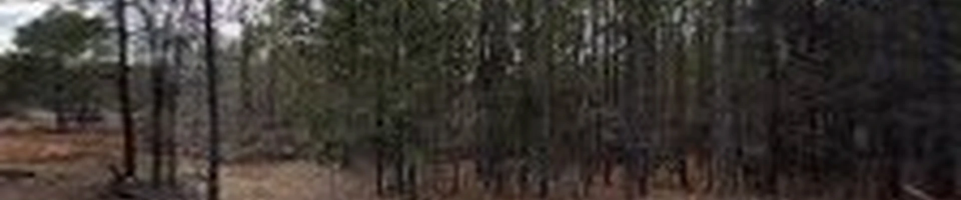 Piedmont Land Services LLC