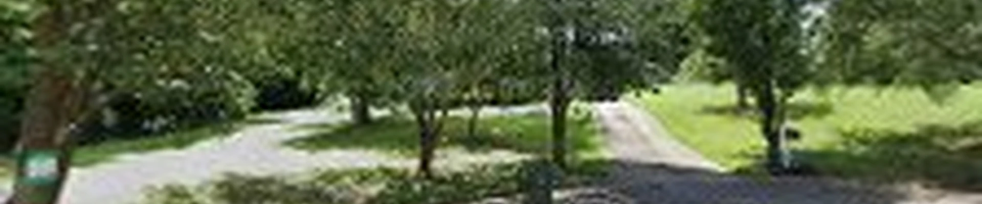 Newland Landscaping