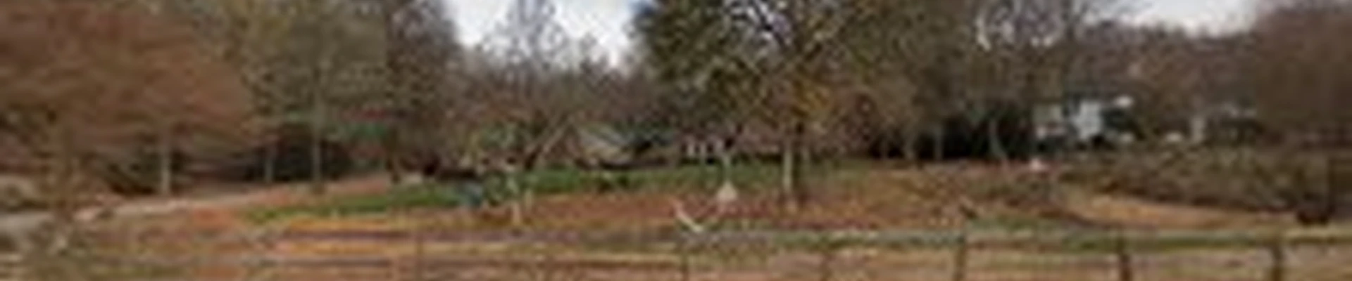 JH Landscapes