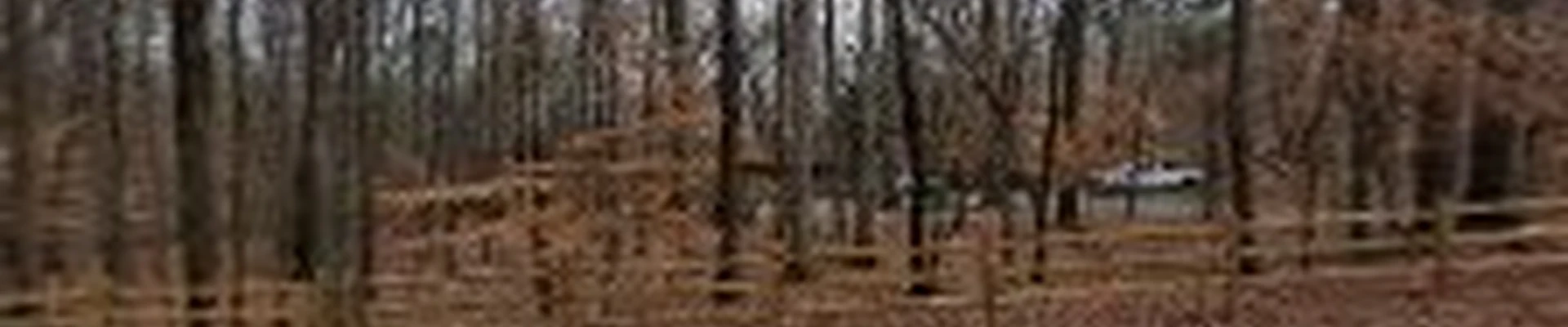 Carolina Terrain