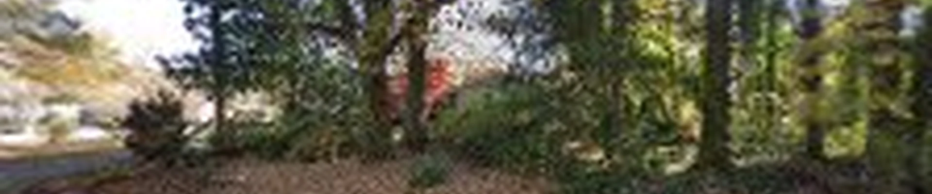 Pine Lake Nursery and Landscaping