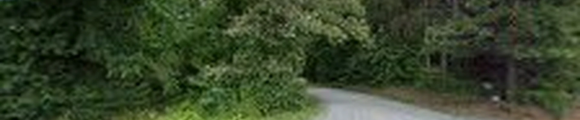 Hyatt Landscaping, Inc.