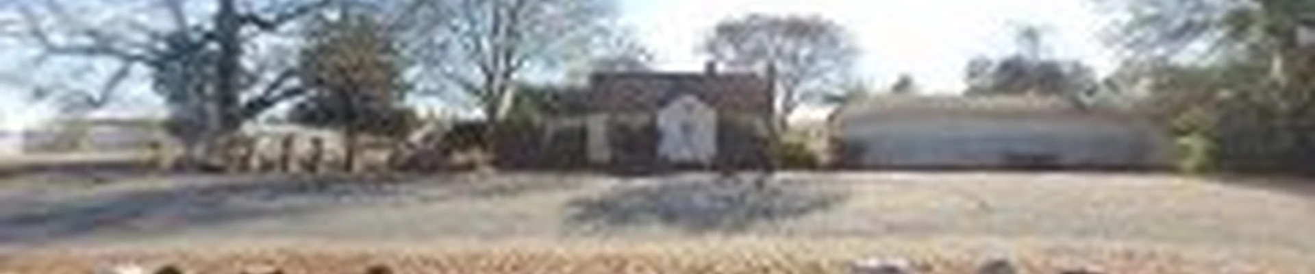 The Morgan Landscape Group
